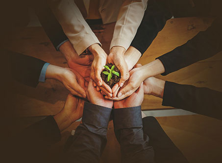 We offer options AND solutions. Not all mortgages are alike. The interest rate should not be your only concern when arranging financing. Prepayment options, portability and flexibility are important aspects of your mortgage. Your individual needs play an important part of the mortgage transaction.